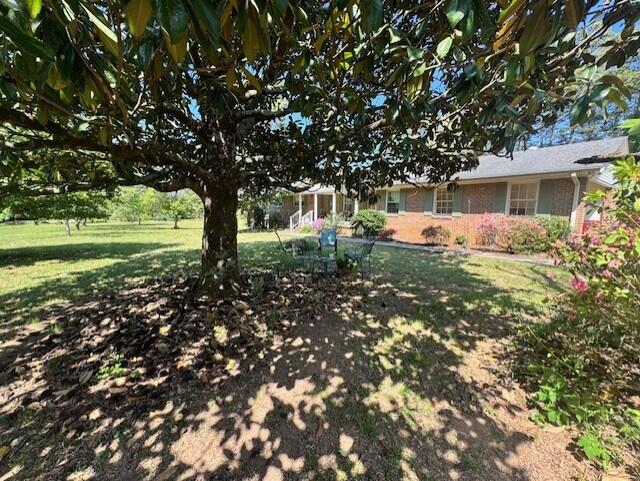 524 Cochran Road Chatsworth, GA 30705 - Photo 26 of 26 524 Cochran yard 2
