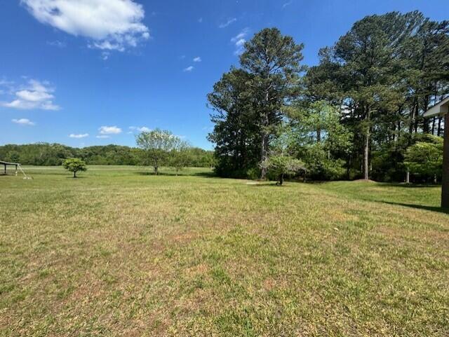 524 Cochran Road Chatsworth, GA 30705 - Photo 3 of 26 524 COchran acreage