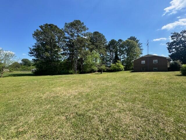 524 Cochran Road Chatsworth, GA 30705 - Photo 4 of 26 524 Cochran acreage 2