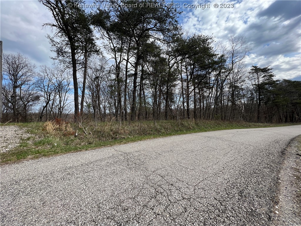 24-acres Redmond Ridge Road Gallipolis Ferry, WV 25515 - Photo 11 of 14 Gallery Image 11