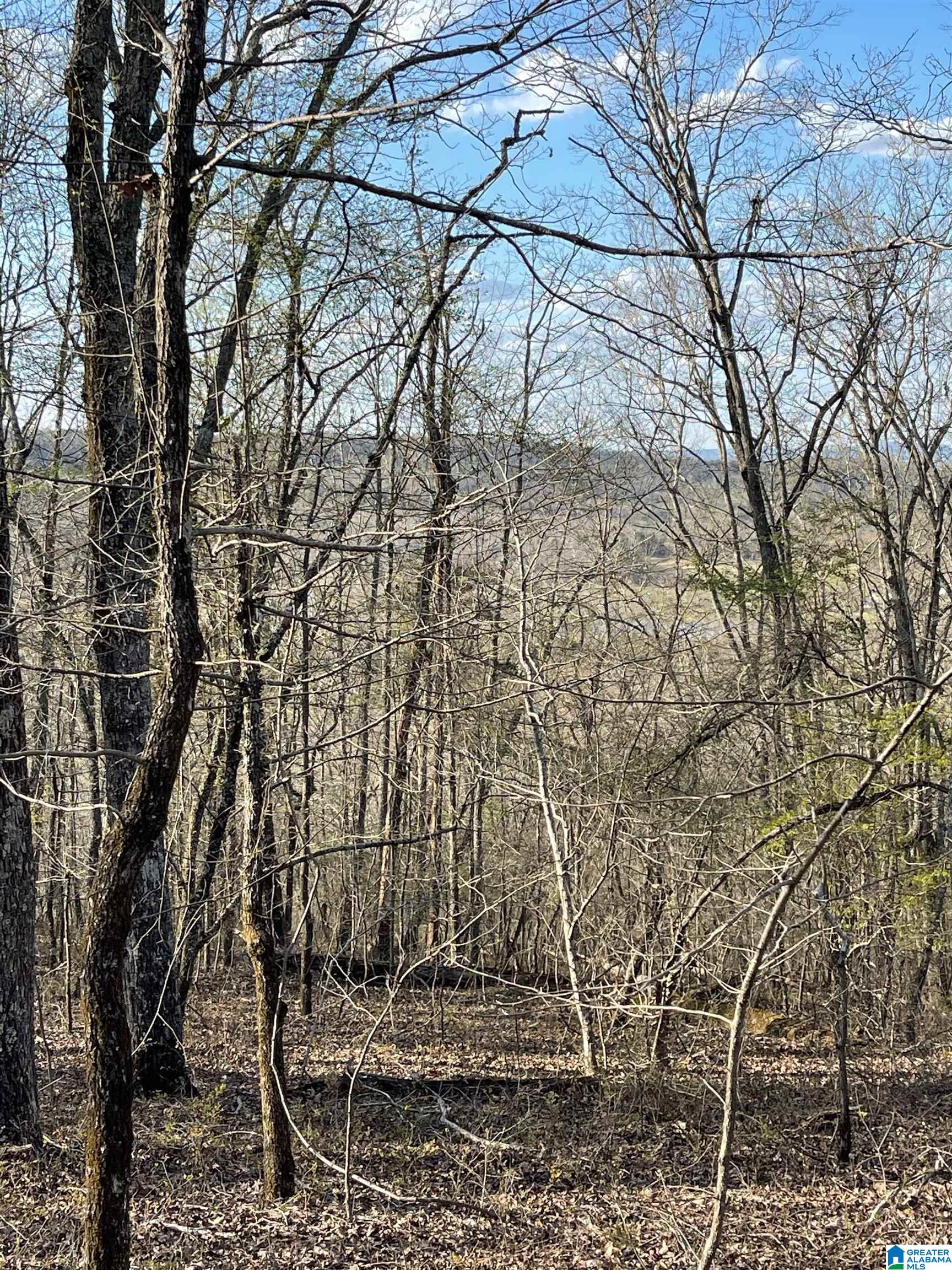 Lot 1 Statum Farm Road, Unit 1 Columbiana, AL 35051 - Photo 4 of 12