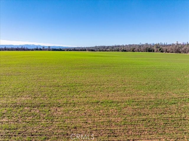 0 Old Gold Road Cottonwood, CA 96022 - Photo 11 of 53 a view of an ocean