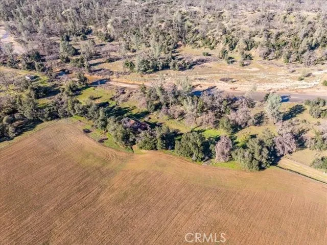 a view of a tree with a yard