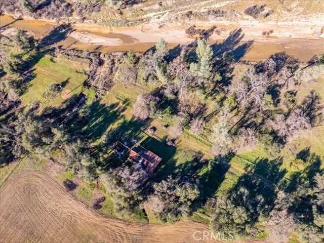 0 Old Gold Road Cottonwood, CA 96022 - Photo 26 of 53 a view of a tree with a yard