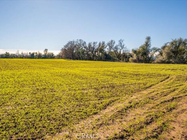 0 Old Gold Road Cottonwood, CA 96022 - Photo 45 of 53 a view of an ocean