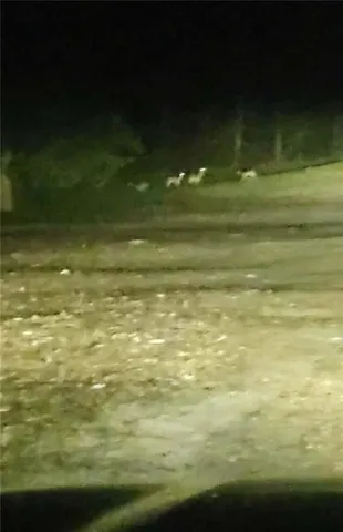 $90,000 | 141 Newman Wainwright Road, Pollock, LA 71467