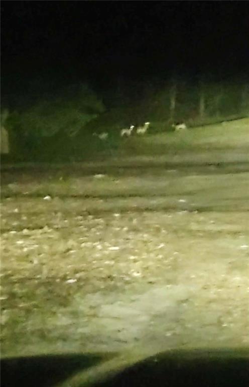 141 Newman Wainwright Road Pollock, LA 71467 - Photo 26 of 30