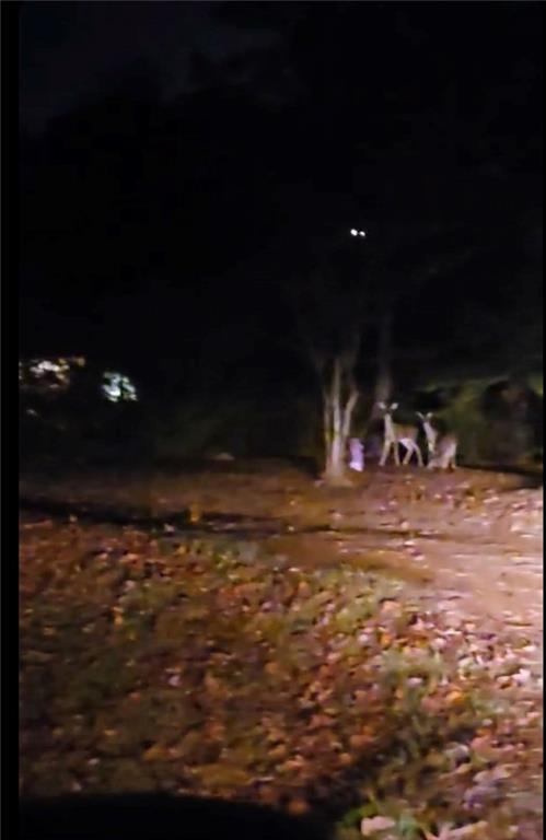 141 Newman Wainwright Road Pollock, LA 71467 - Photo 28 of 30