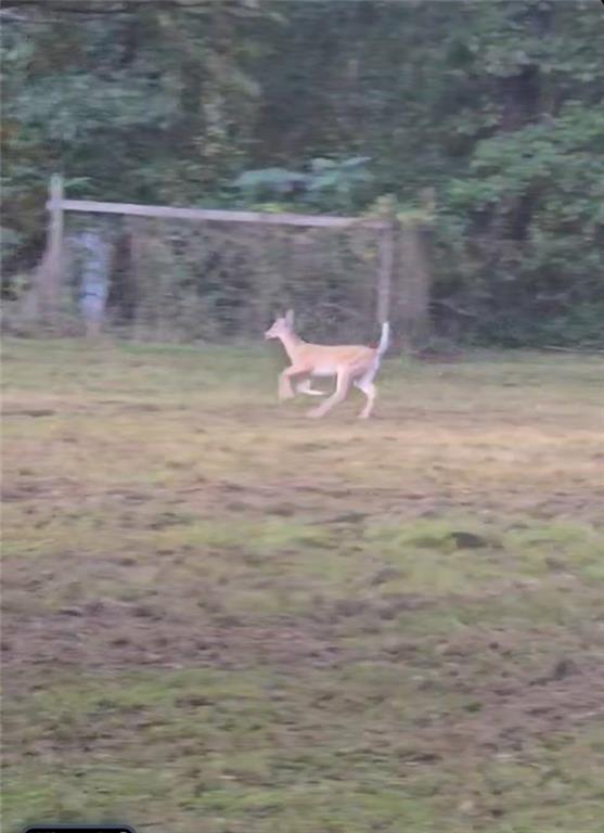 141 Newman Wainwright Road Pollock, LA 71467 - Photo 30 of 30