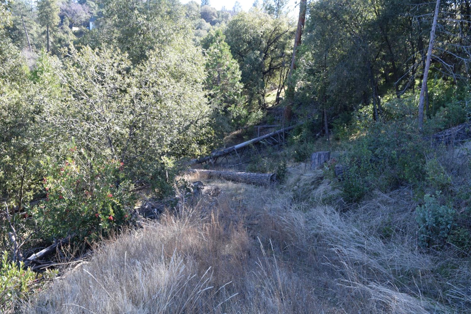 5676 Clouds Rest Mariposa, CA 95338 - Photo 3 of 9 Gallery Image 3