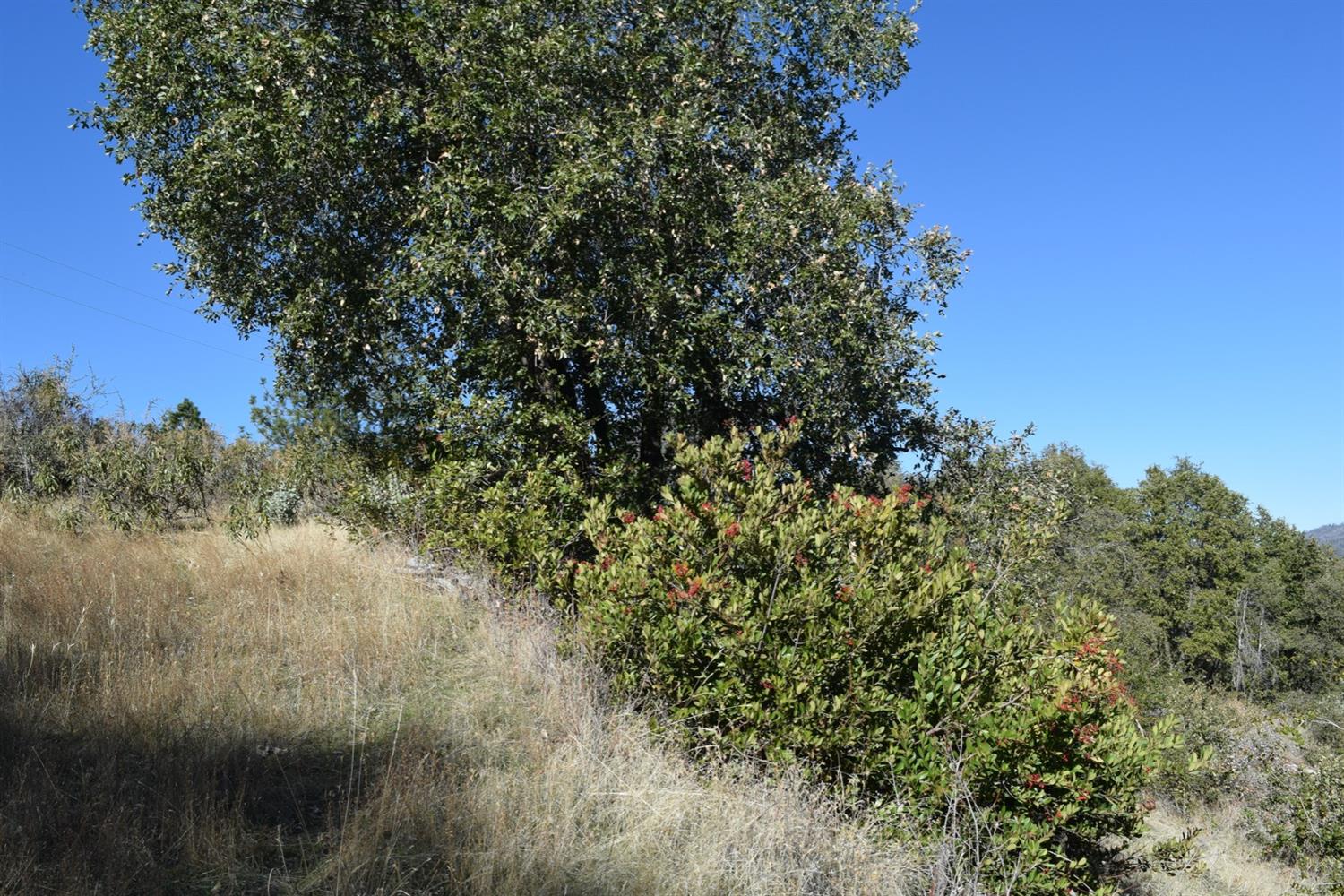 5676 Clouds Rest Mariposa, CA 95338 - Photo 4 of 9 Gallery Image 4