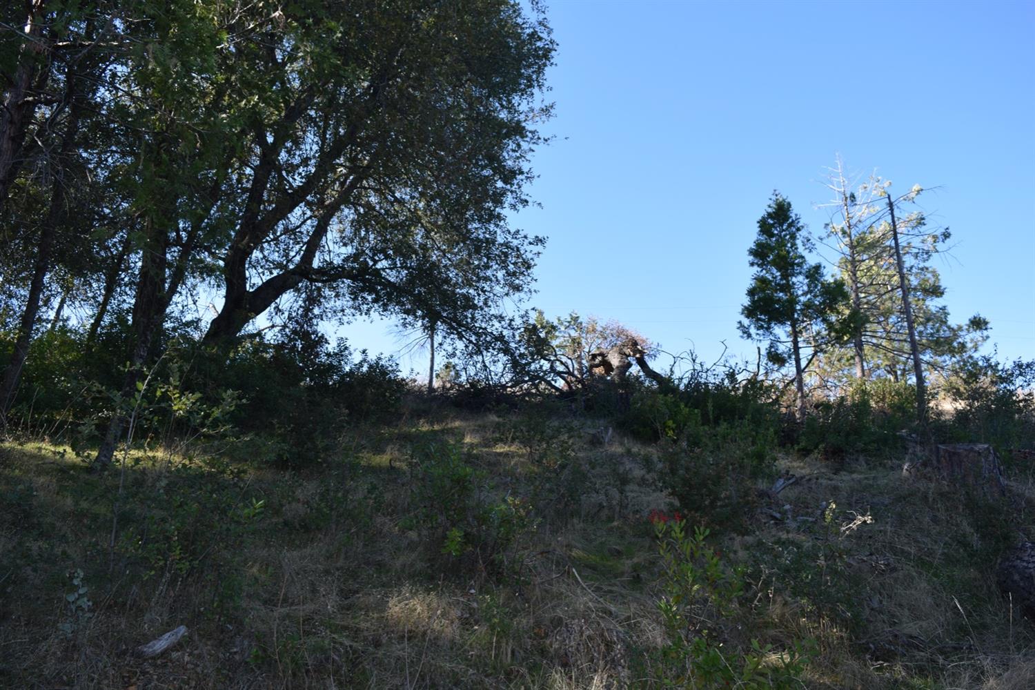 5676 Clouds Rest Mariposa, CA 95338 - Photo 5 of 9 Gallery Image 5