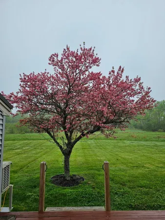 $405,000 | 36 Meadowbrook Drive, Unit 2, Gorham, ME 04038