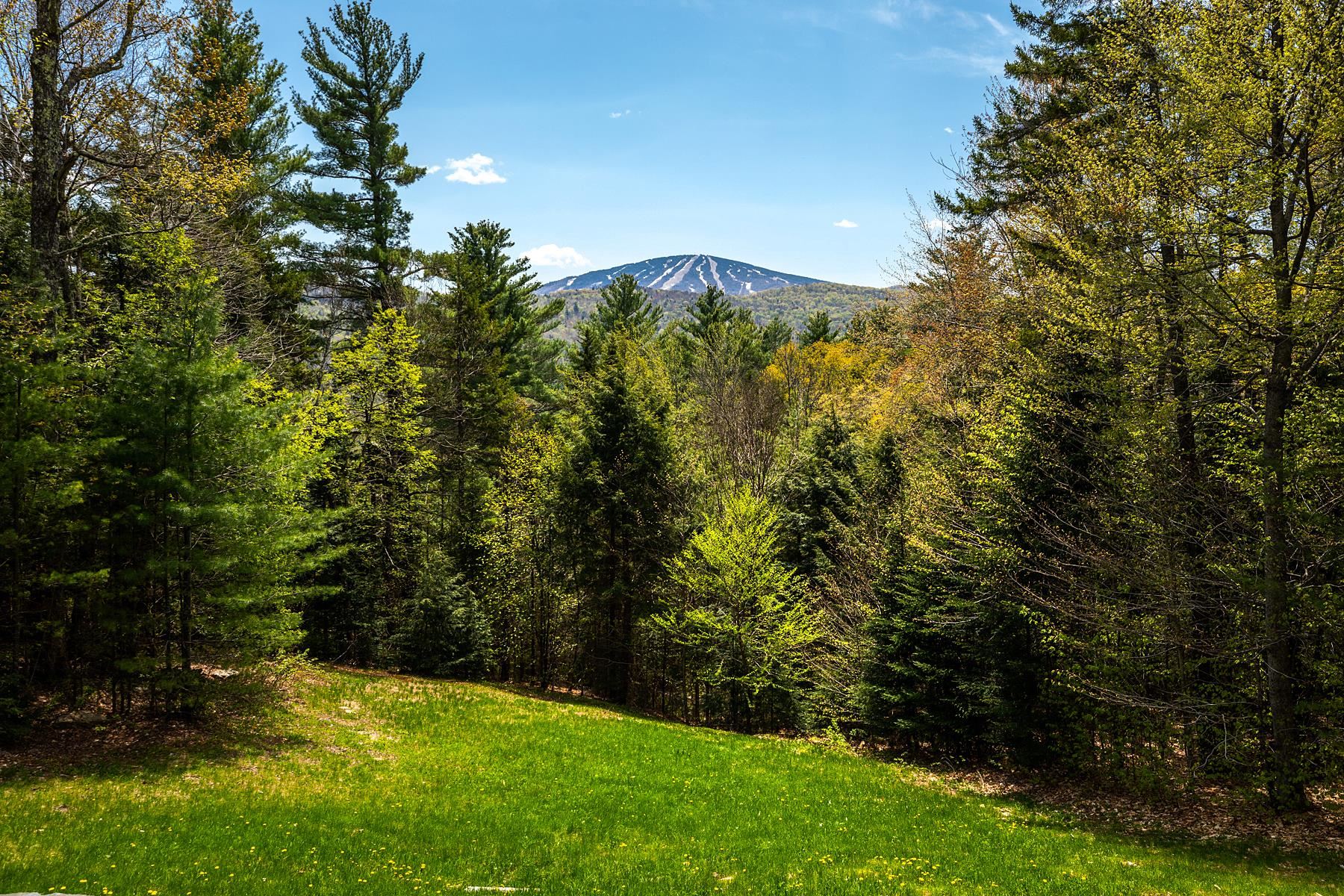 3 Rice Lane Winhall, VT 05340 - Photo 4 of 36