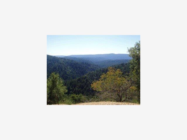 18776 Favre Ridge Road Los Gatos, CA 95033 - Photo 5 of 8