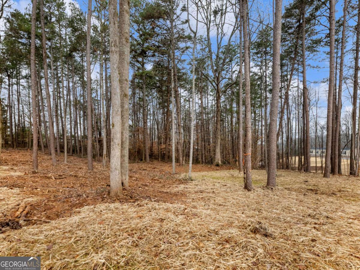 5230 Bogus Road Gainesville, GA 30506 - Photo 38 of 45