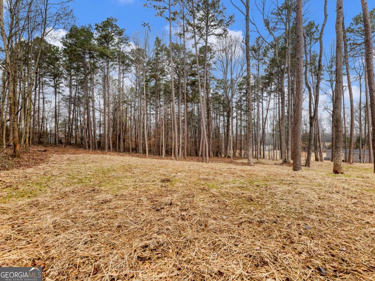 5230 Bogus Road Gainesville, GA 30506 - Photo 42 of 45