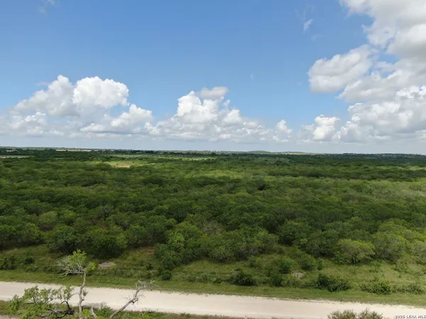 a view of a open space with green field and trees