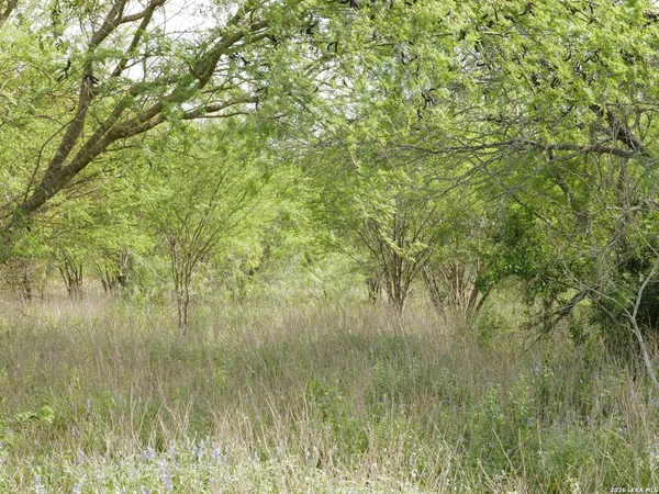a view of a green field