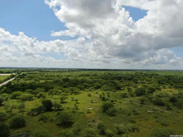 a view of a bunch of trees