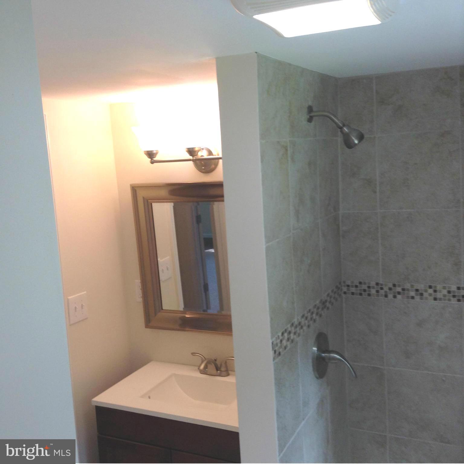 9808 Dilston Road Silver Spring, MD 20903 - Photo 3 of 9 Bath
