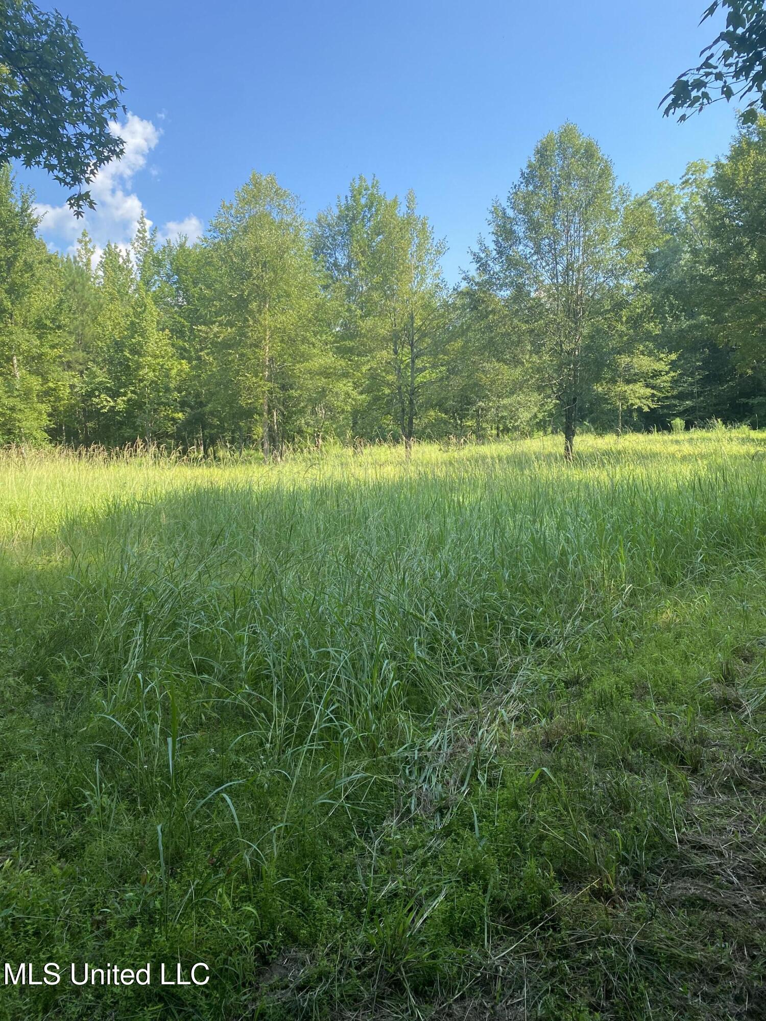 448 Attala County Road 4005 Road Goodman, MS 39079 - Photo 11 of 34 IMG_8650