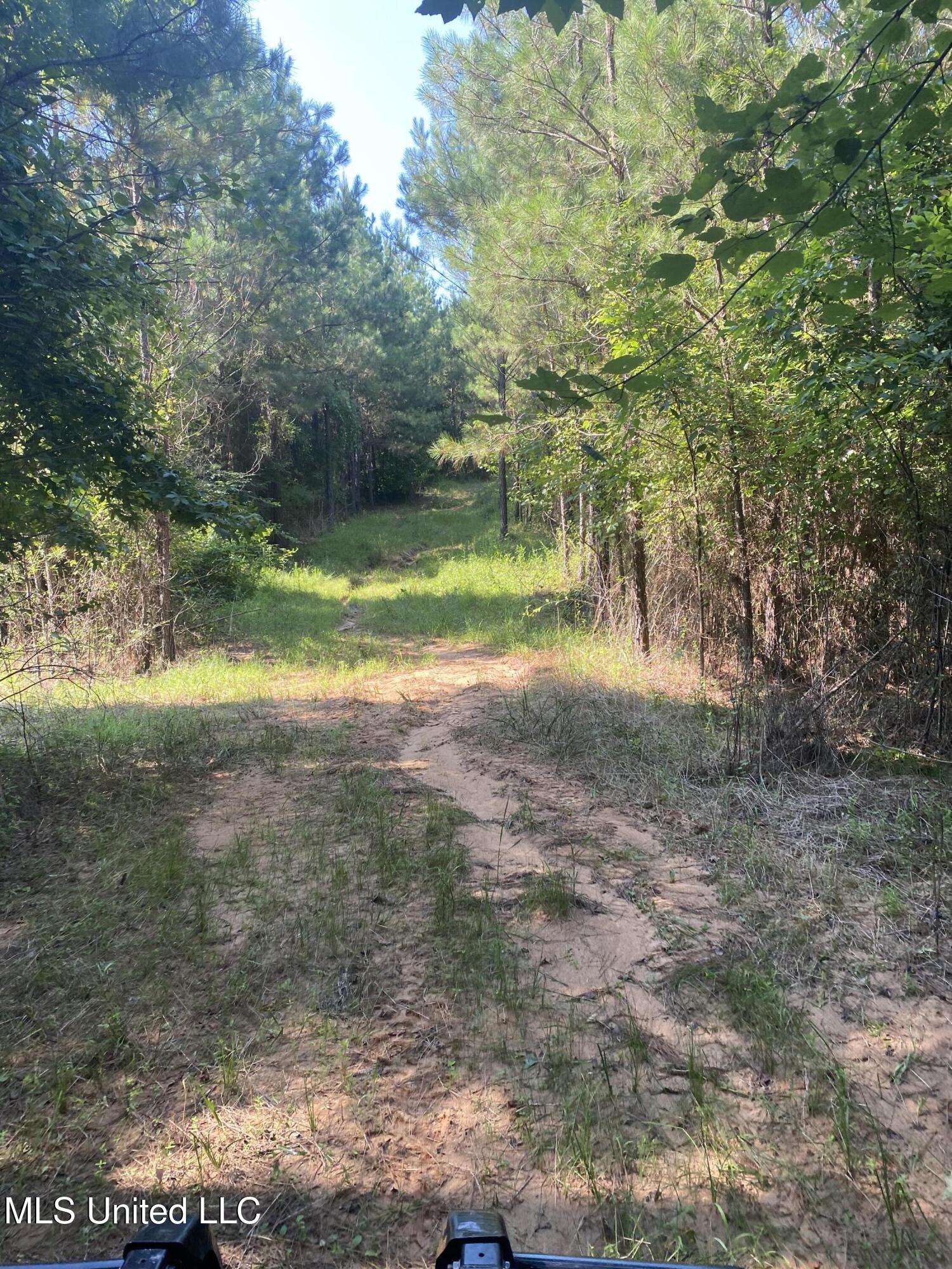 448 Attala County Road 4005 Road Goodman, MS 39079 - Photo 13 of 34 IMG_8653