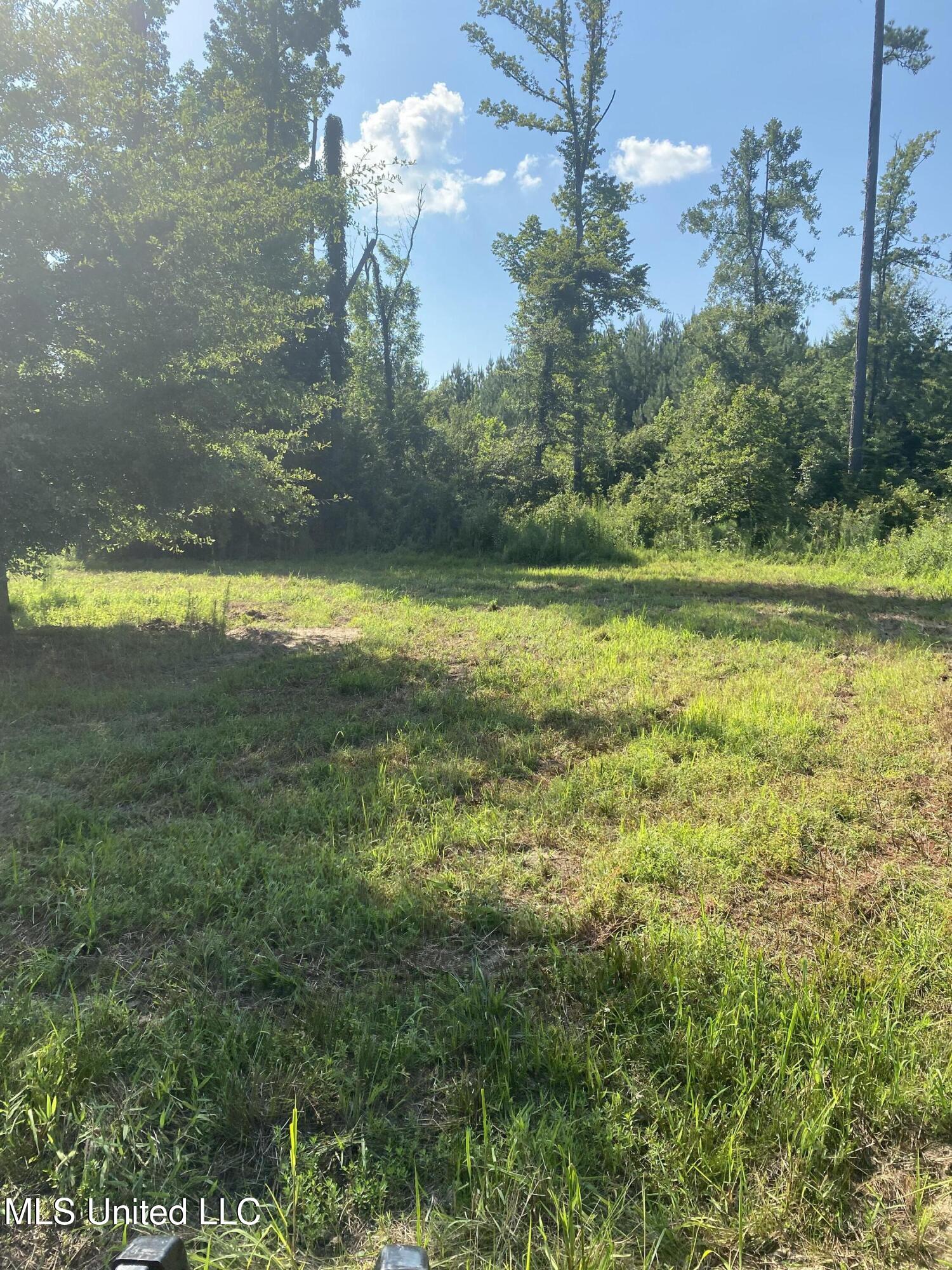 448 Attala County Road 4005 Road Goodman, MS 39079 - Photo 14 of 34 IMG_8658