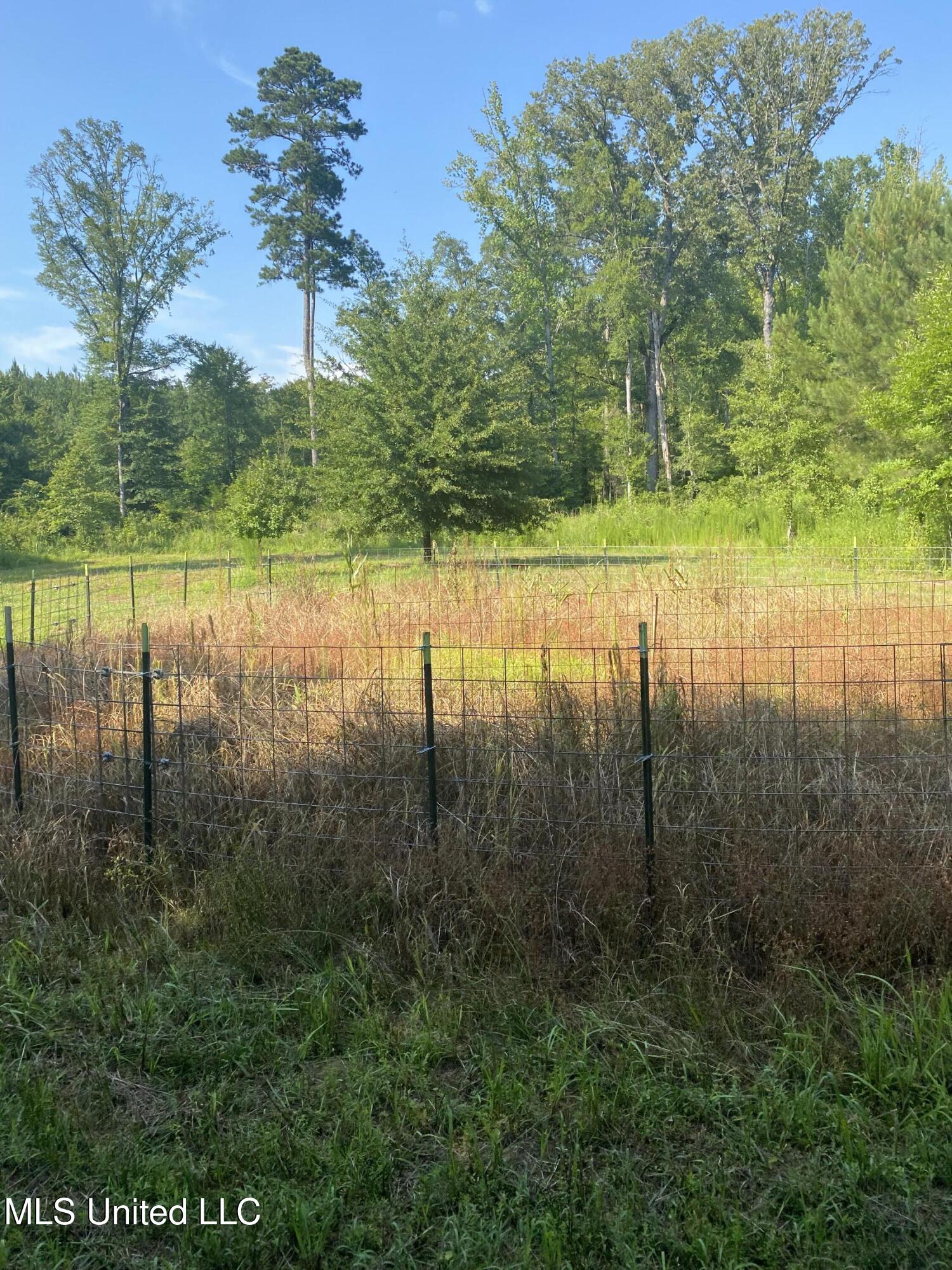 448 Attala County Road 4005 Road Goodman, MS 39079 - Photo 15 of 34 IMG_8659