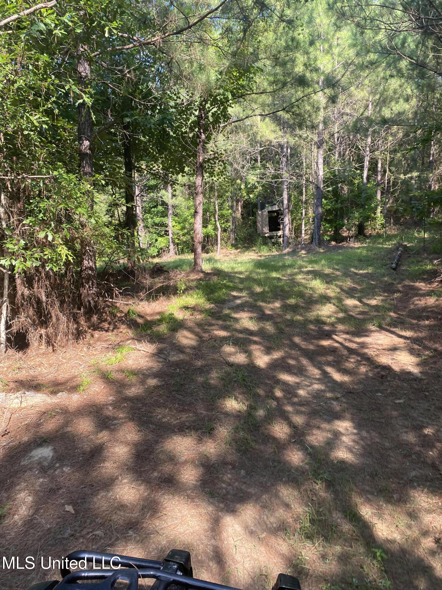 448 Attala County Road 4005 Road Goodman, MS 39079 - Photo 16 of 34 IMG_8660