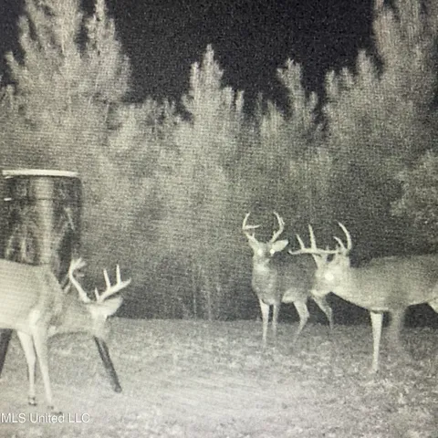 $544,500 | 448 Attala County Road 4005 Road, Goodman, MS 39079