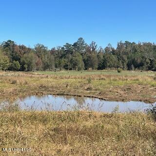 448 Attala County Road 4005 Road Goodman, MS 39079 - Photo 29 of 34 IMG_8730