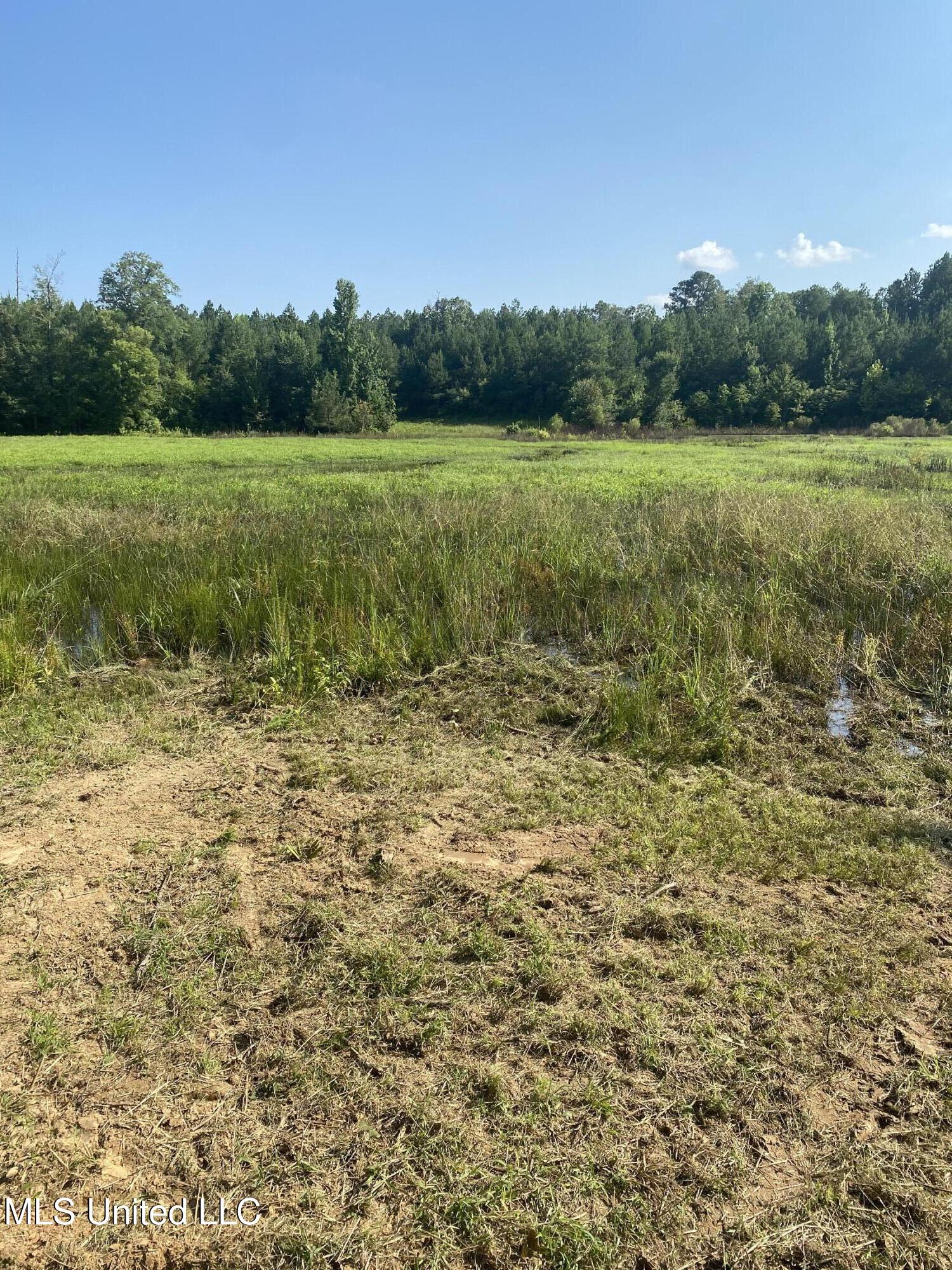 448 Attala County Road 4005 Road Goodman, MS 39079 - Photo 30 of 34 IMG_8667