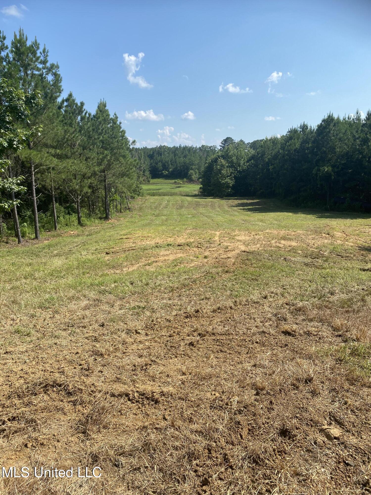 448 Attala County Road 4005 Road Goodman, MS 39079 - Photo 3 of 34 IMG_8640