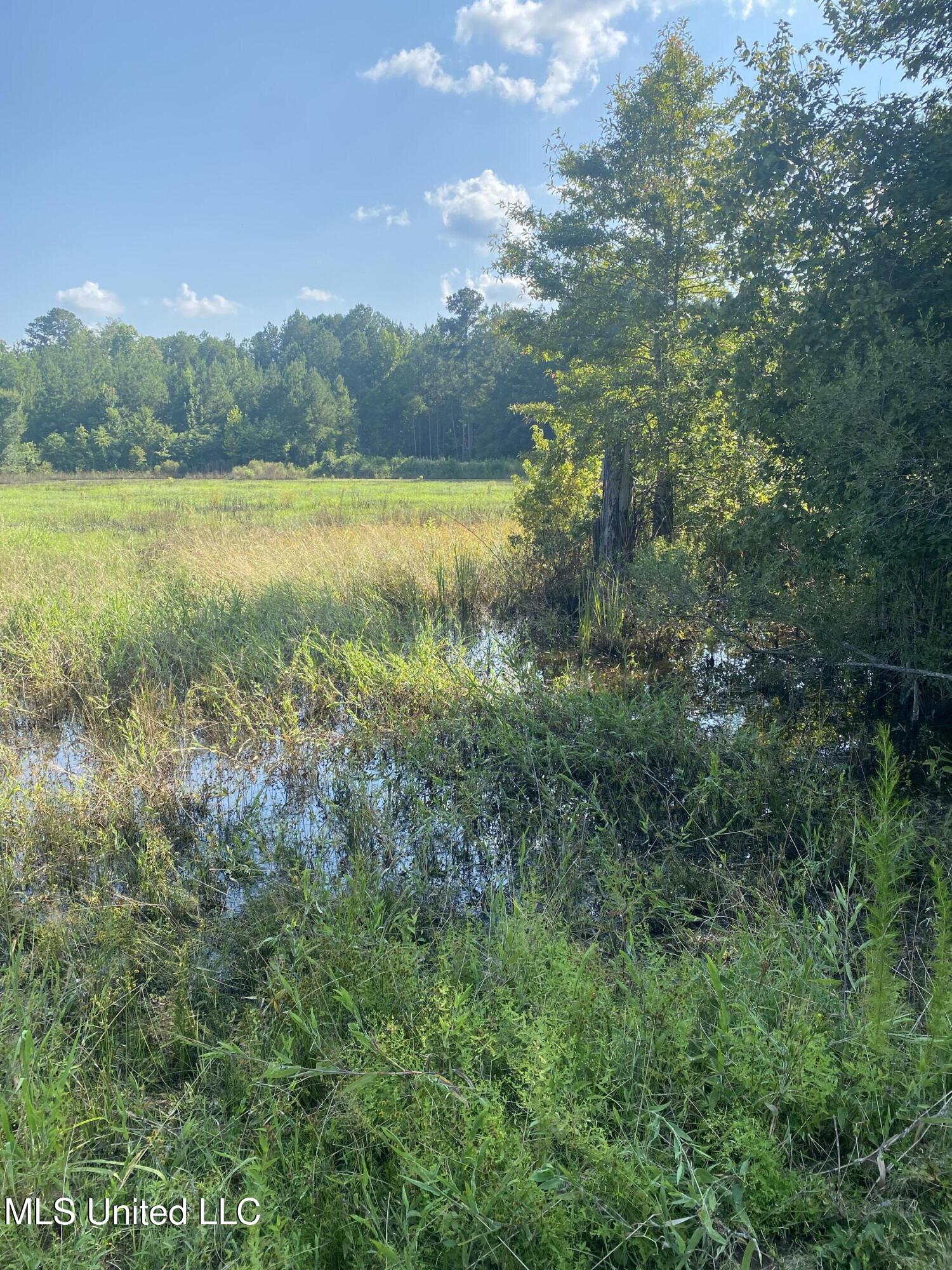 448 Attala County Road 4005 Road Goodman, MS 39079 - Photo 31 of 34 IMG_8668