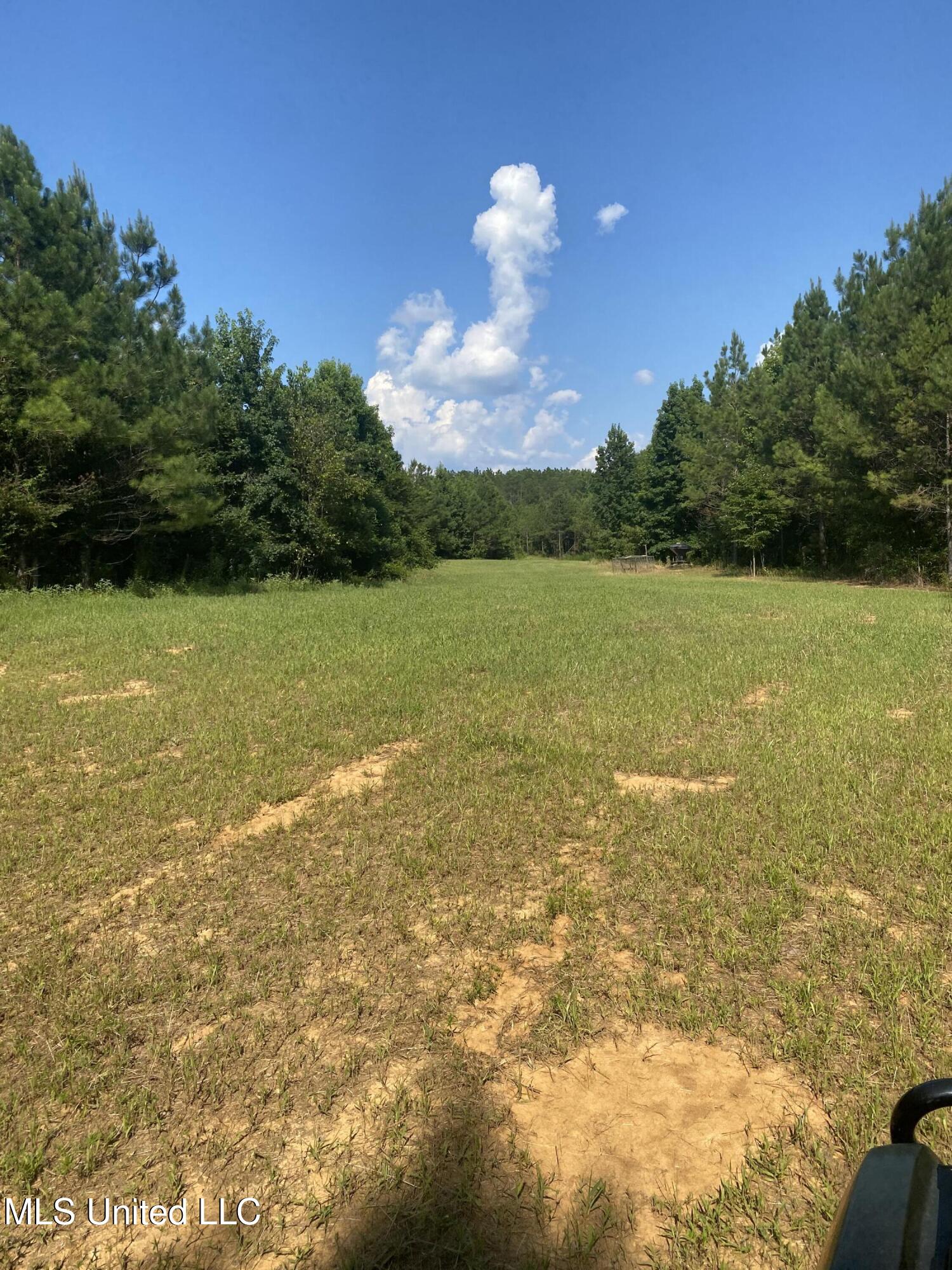 448 Attala County Road 4005 Road Goodman, MS 39079 - Photo 6 of 34 IMG_8644