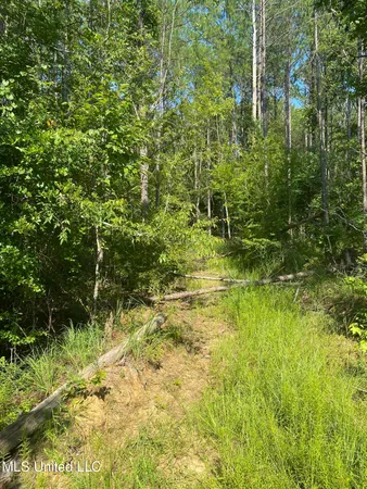 $544,500 | 448 Attala County Road 4005 Road, Goodman, MS 39079