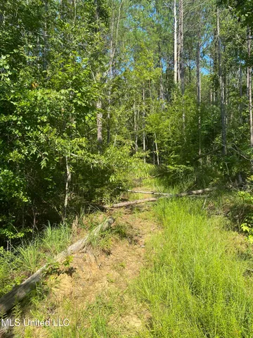 $544,500 | 448 Attala County Road 4005 Road, Goodman, MS 39079