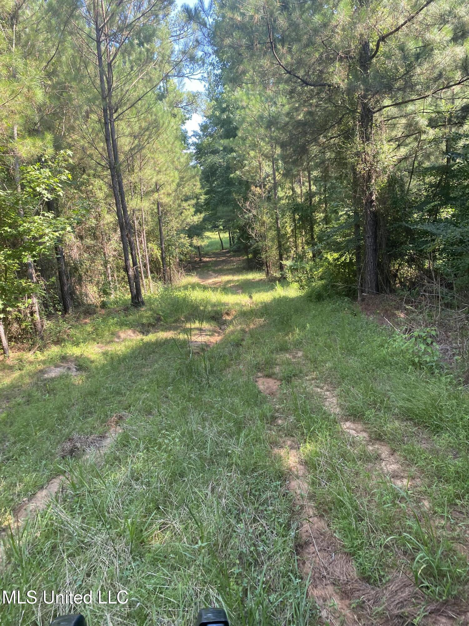 448 Attala County Road 4005 Road Goodman, MS 39079 - Photo 8 of 34 IMG_8647