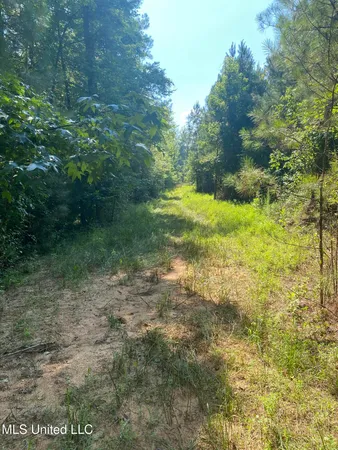 $544,500 | 448 Attala County Road 4005 Road, Goodman, MS 39079