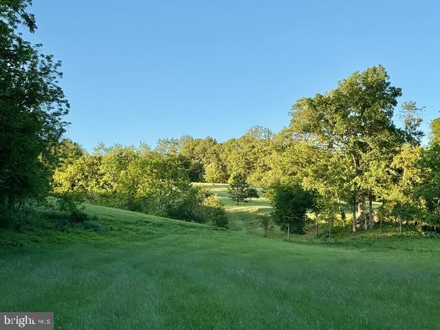 9781 Conde Road Marshall, VA 20115 - Photo 90 of 105 Gallery Image 90