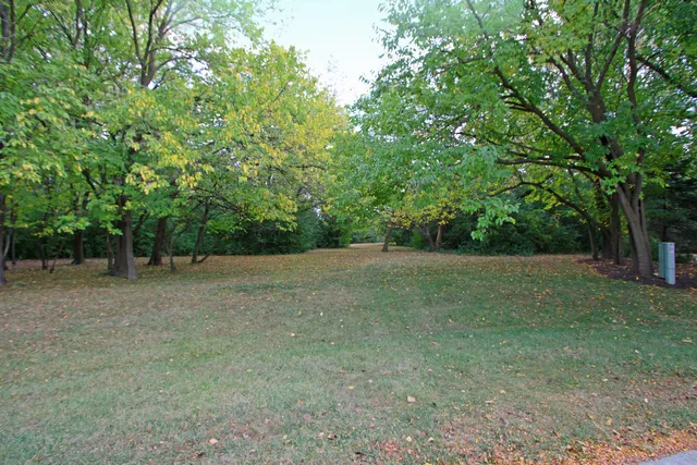 a view of a field with trees in the background