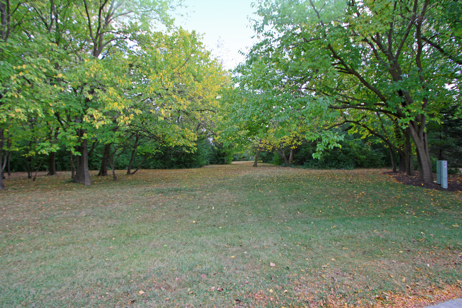1 High Point Circle Hawthorn Woods, IL 60047 - Photo 1 of 1 a view of a field with trees in the background