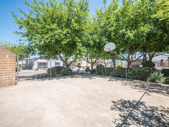 a view of a house with backyard and a large tree