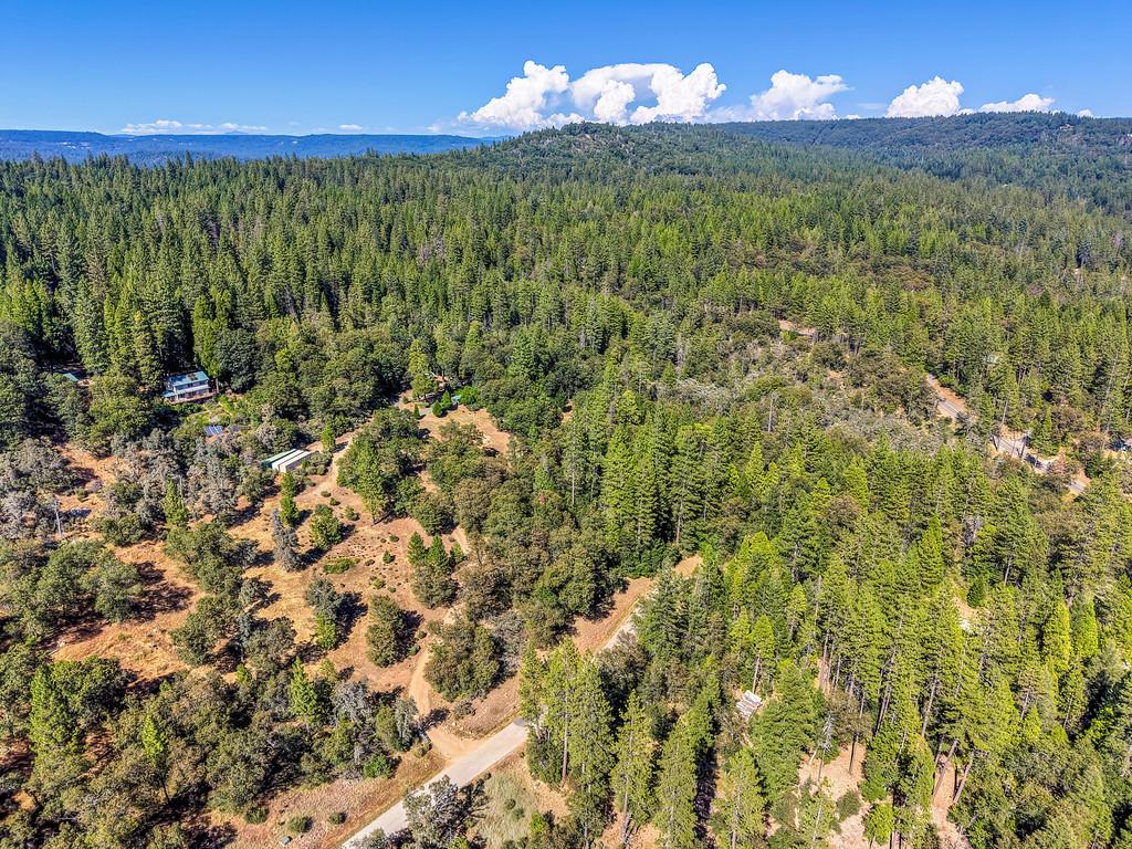 17008 Bloomfield Ridge Place Nevada City, CA 95959 - Photo 41 of 52