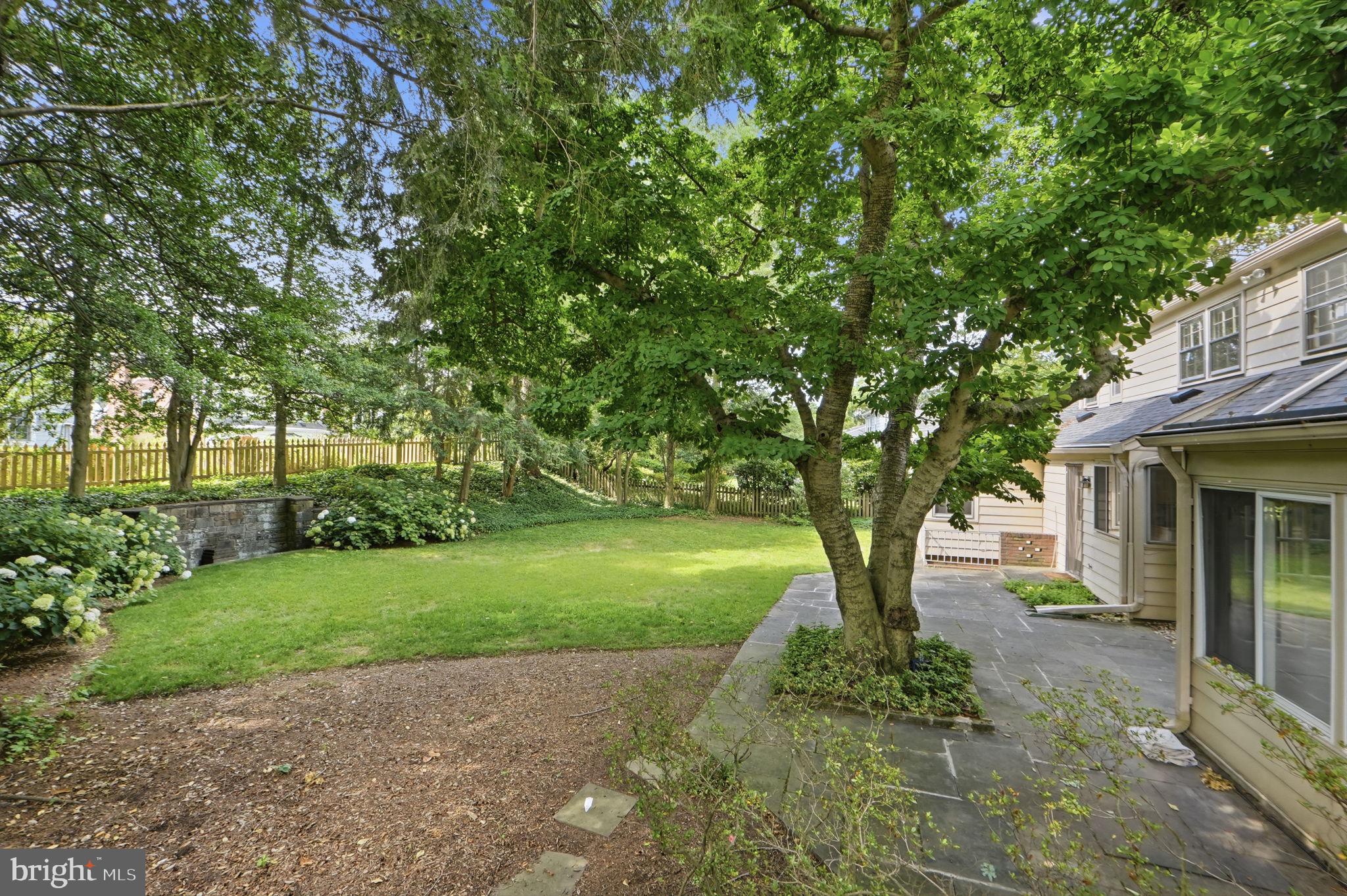 5910 Overlea Road Bethesda, MD 20816 - Photo 52 of 56 a big tree in middle of the garden