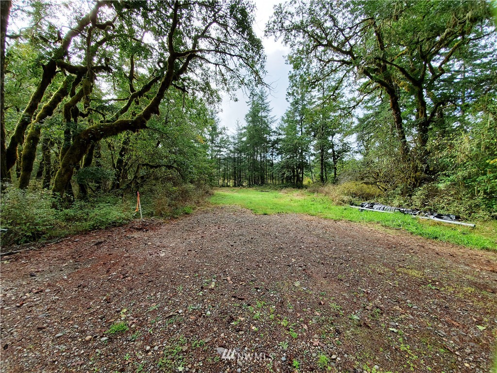 1120 West Beerbower Road Elma, WA 98541 - Photo 3 of 17 Gallery Image 3