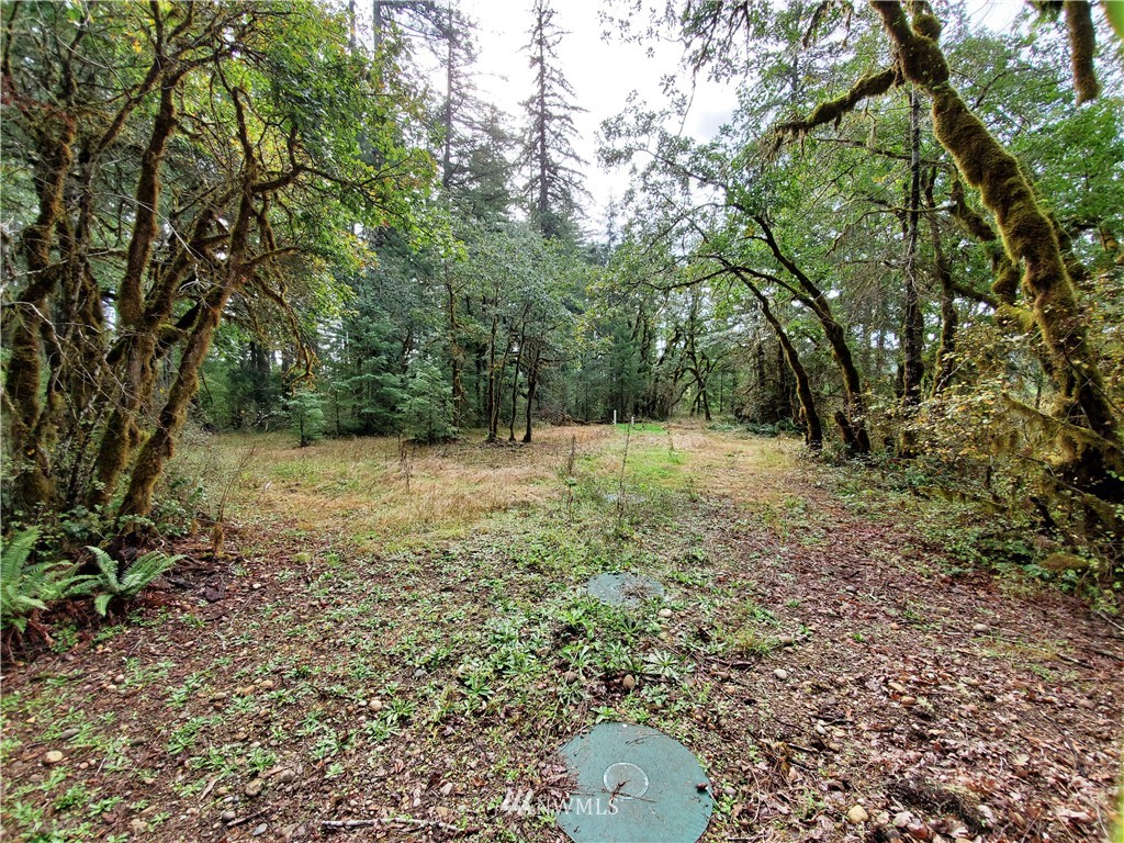 1120 West Beerbower Road Elma, WA 98541 - Photo 6 of 17 Gallery Image 6