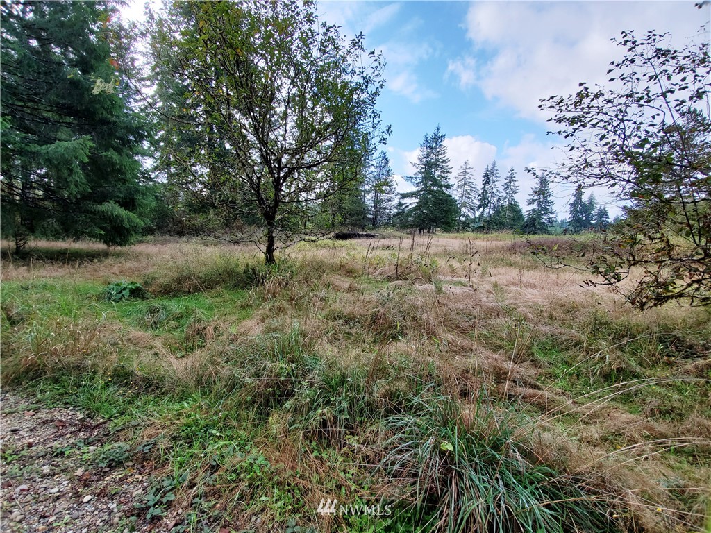 1120 West Beerbower Road Elma, WA 98541 - Photo 9 of 17 Gallery Image 9