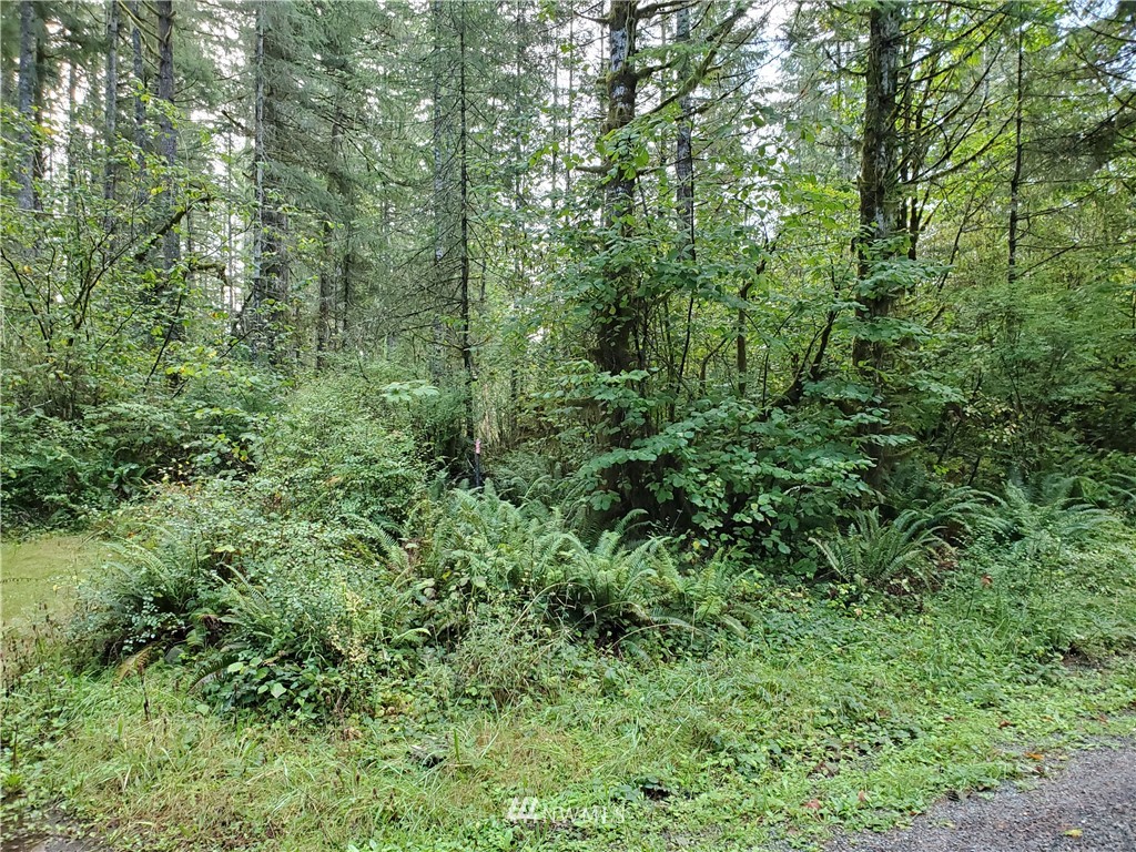 1120 West Beerbower Road Elma, WA 98541 - Photo 10 of 17 Gallery Image 10